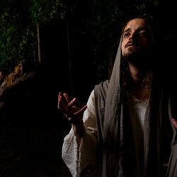 crucis-1