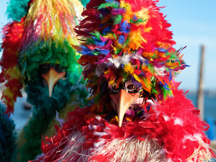 6c7401a1-6a7f-4413-b4f8-d572ccf68e06 6c7401a1-6a7f-4413-b4f8-d572ccf68e06