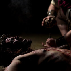 crucis-12