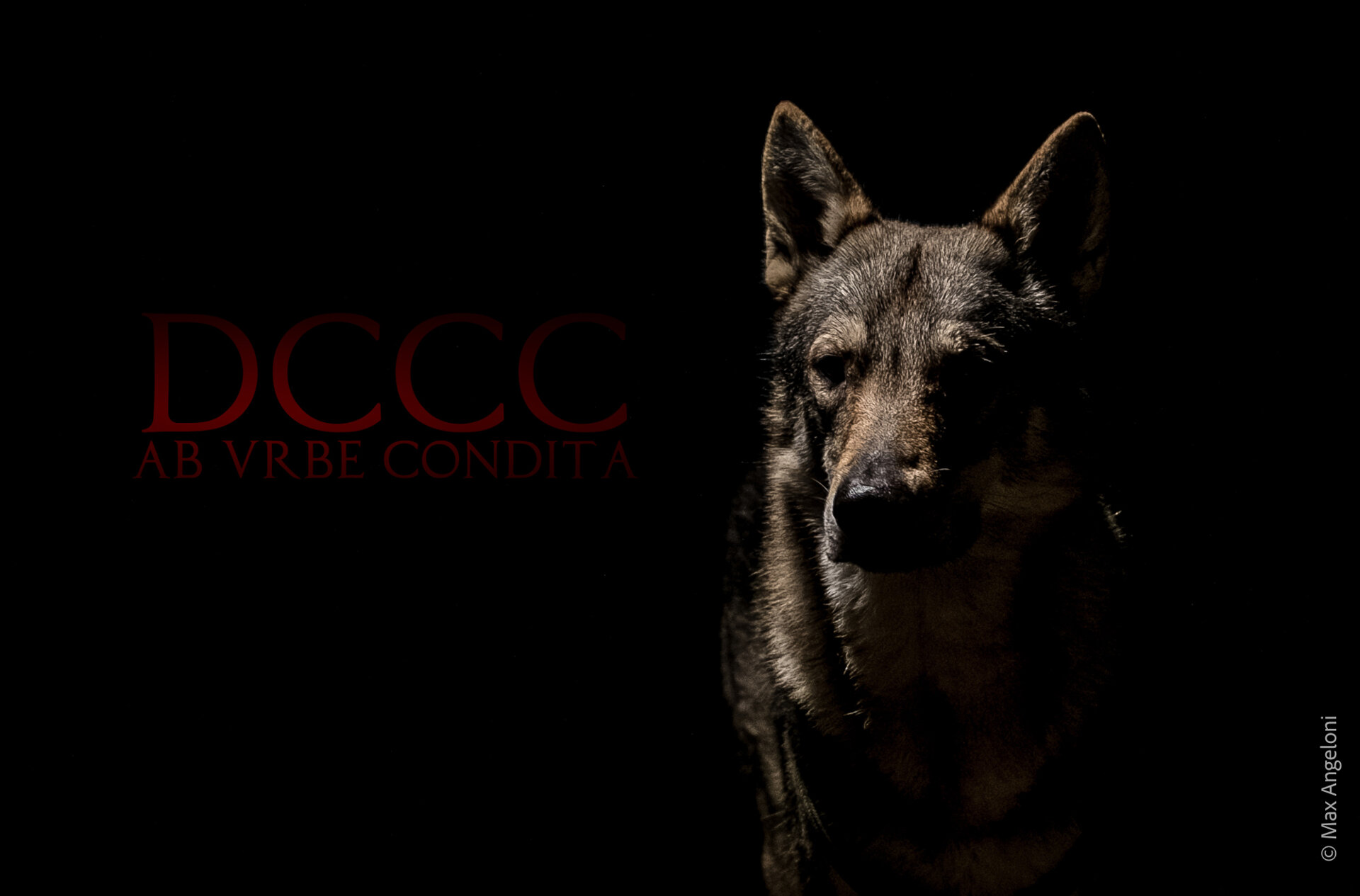 dccc-1.jpeg