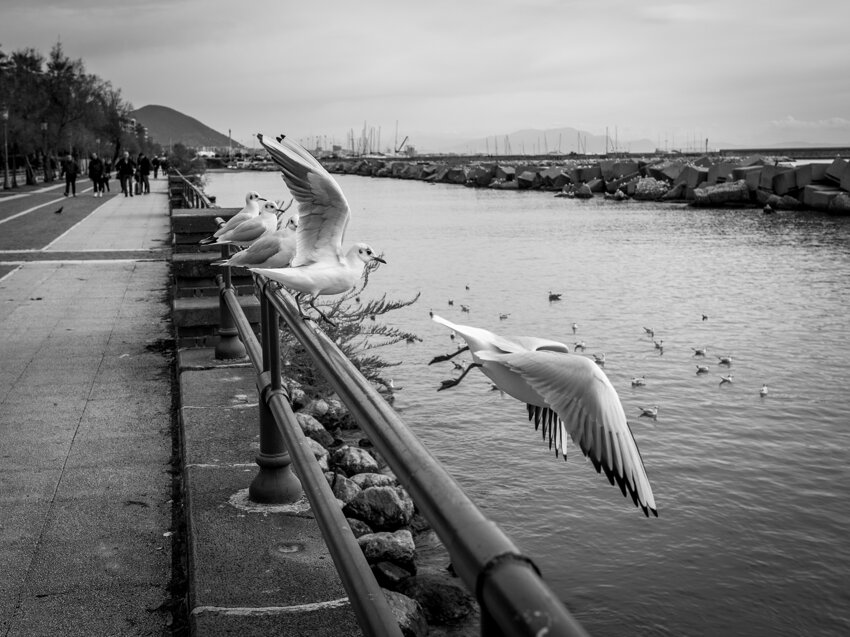 a3a3bd58-8c3e-49c8-8289-a3c6661b921a a3a3bd58-8c3e-49c8-8289-a3c6661b921a