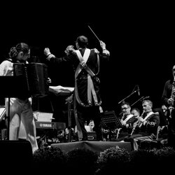 concerto-24