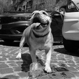 FUJIFILM GFX 100S II - Fujifilm GF 23mm F4 R LM WR FUJIFILM GFX 100S II - Fujifilm GF 23mm F4 R LM WR