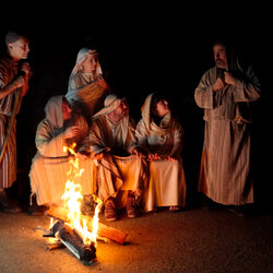 crucis-3
