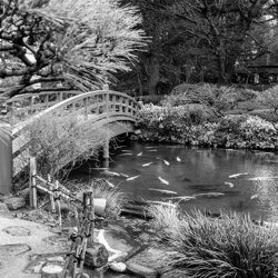 tokyo-2