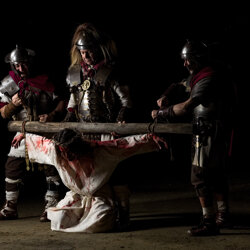 crucis-6