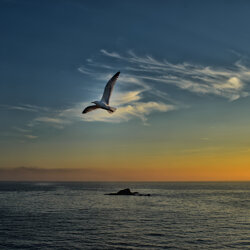 dsc_1670-edit
