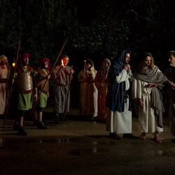 crucis-2