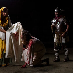 crucis-9