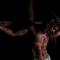 crucis-13