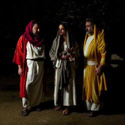 crucis-16