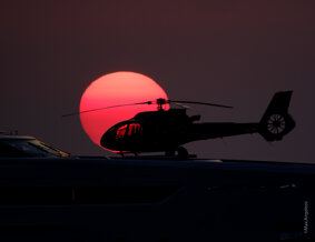 Apocalypse Apocalypse