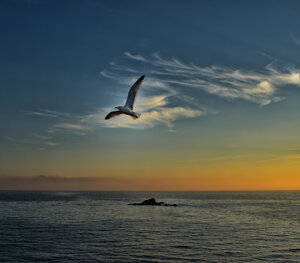 eyJpdCI6IiJ9 eyJpdCI6IiJ9