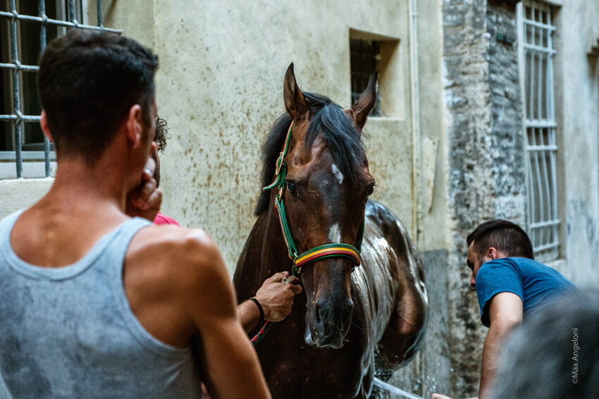 5a839c22-3344-46ea-9d01-787492372c3f 5a839c22-3344-46ea-9d01-787492372c3f