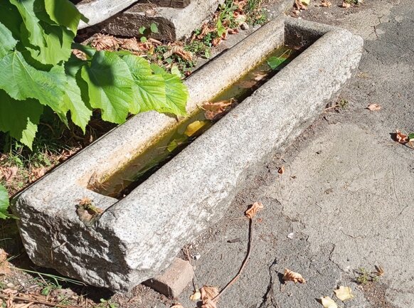 4ef1f34b-bb04-4a8f-ae5c-57cbd3882d09 4ef1f34b-bb04-4a8f-ae5c-57cbd3882d09