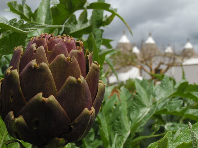 7b718d20-de44-49ab-83fb-356b79f9eada