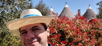 2d3ed641-c35c-48d5-81d0-1b0318a4f3d5