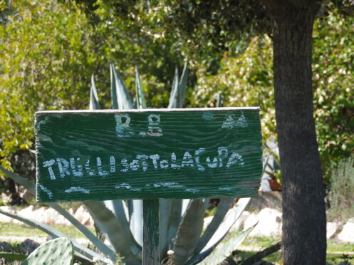 5f7237e3-dda5-4164-9861-b43d2a018c38