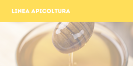 dc13366d-7deb-4f93-b336-512140131805