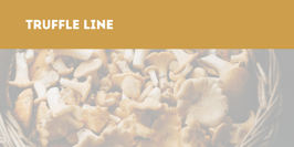 04b05e99-8487-495c-ad45-49bd58e5f8f3