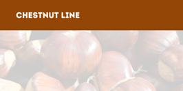 119954d2-c904-4ea1-bcb3-a7a748b8b58a