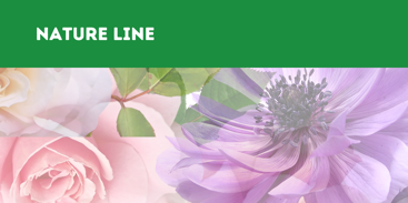 7571e3c1-b3ac-46ef-afa1-d3e79ed11e8c