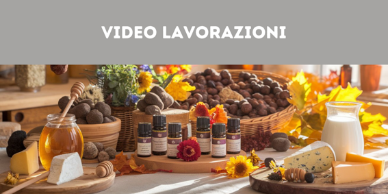 8e37b0f9-068d-421a-b28a-5208d140e954