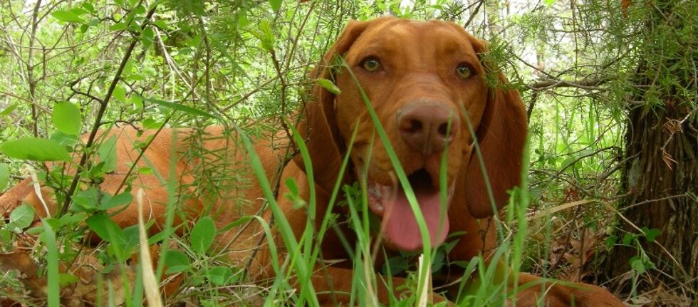 6dee250c-ba49-40af-92a3-17fd0f9e593a