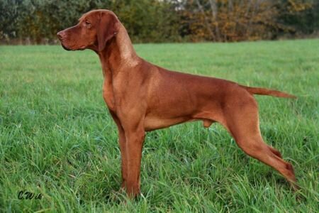 81499c70-ea54-4796-ba5a-e5492549d5f1