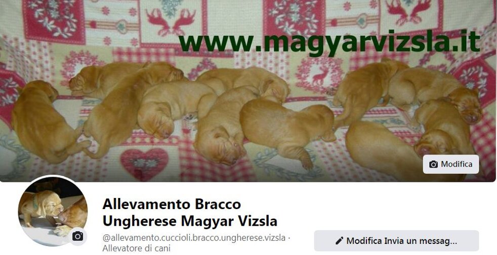 61b726e3-a9e1-4d7c-8cdd-fa092783a7ac