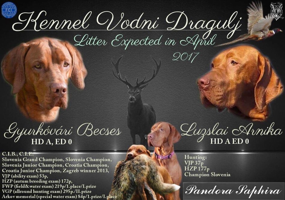 9f2765bf-d338-4634-a53c-3e2214ccdcf6