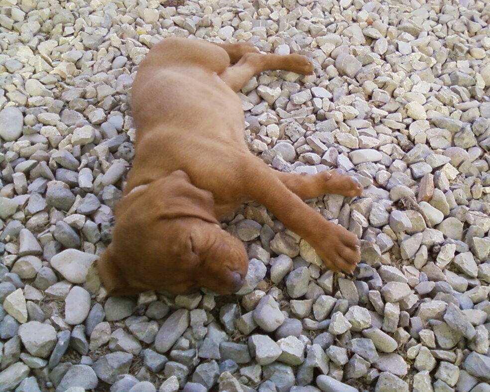 3dcd9041-f6b1-4c04-9444-02e11c6d32f5