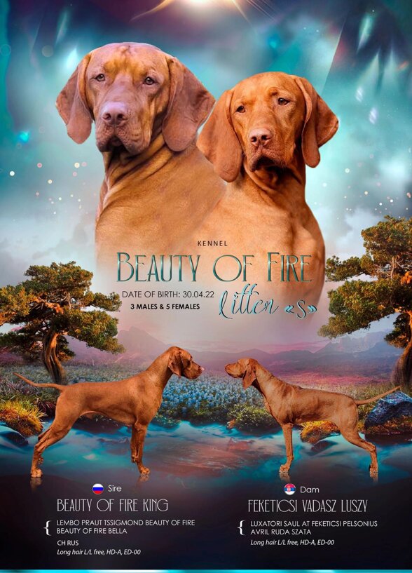 69368a22-0dc1-4e29-9687-fc5bfebb9888