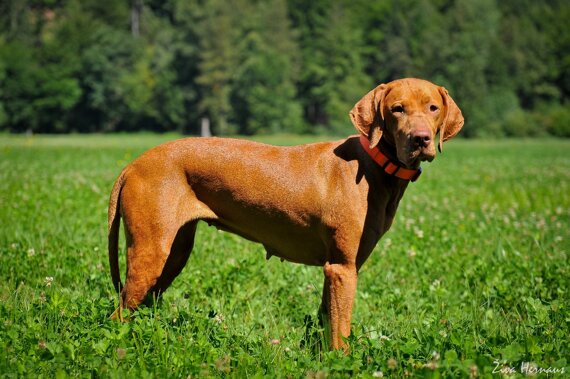 df06f4bd-3477-4a45-af4c-b5f1bbd2b756