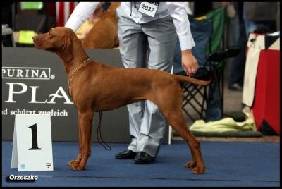 76a15851-0a9c-4290-ab0c-18305f38830d