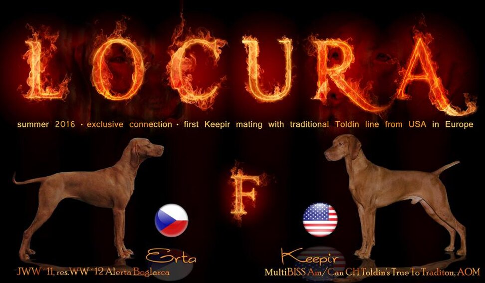 37e132aa-b03f-4e48-8f07-5b4c17fec134