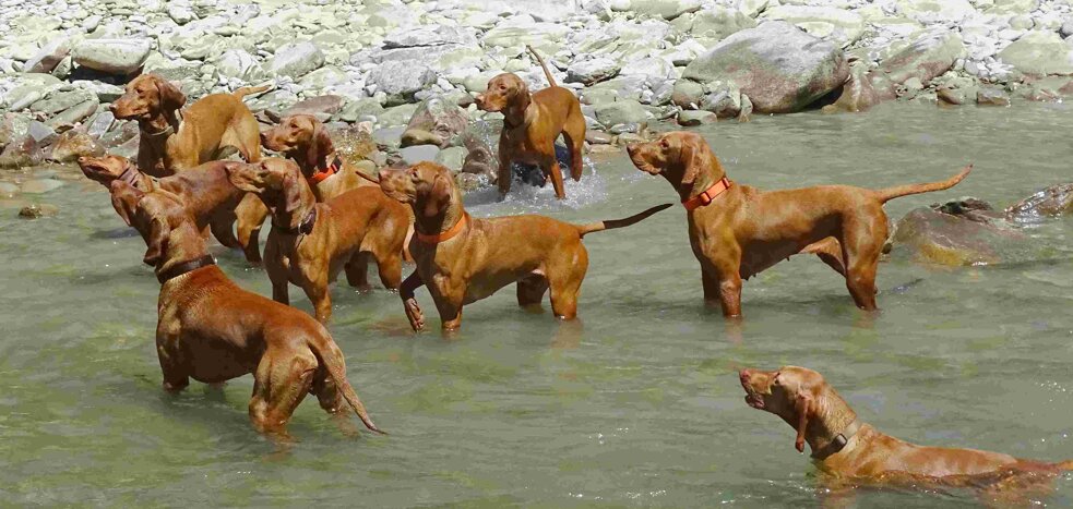 eed0a63c-83d2-46cd-ad07-f7861613f68d