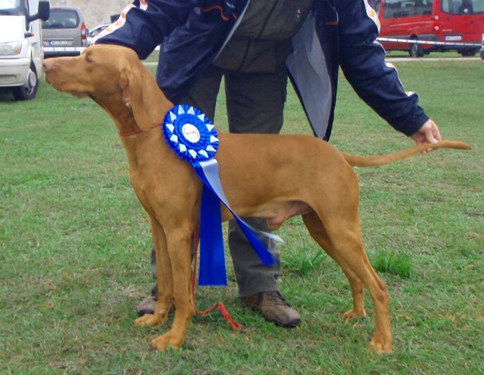 b90ae9df-82ad-4c50-98be-94cbc7ef2f44