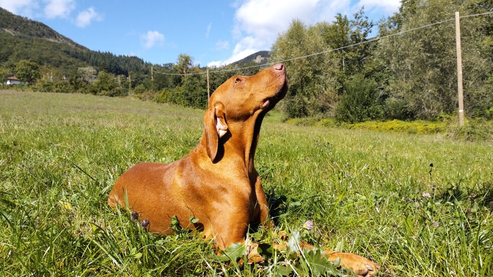 d65303c7-9d23-450f-b058-afc287ec82c6