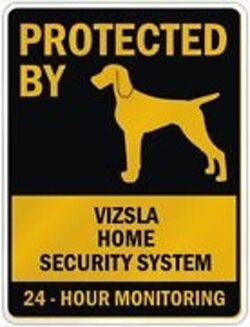 d3ade21b-1dcf-4a98-81bc-2481a8d7fc0d