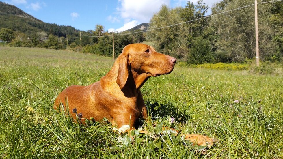 f31ed1ae-8672-421f-9e9b-38c1598725a7