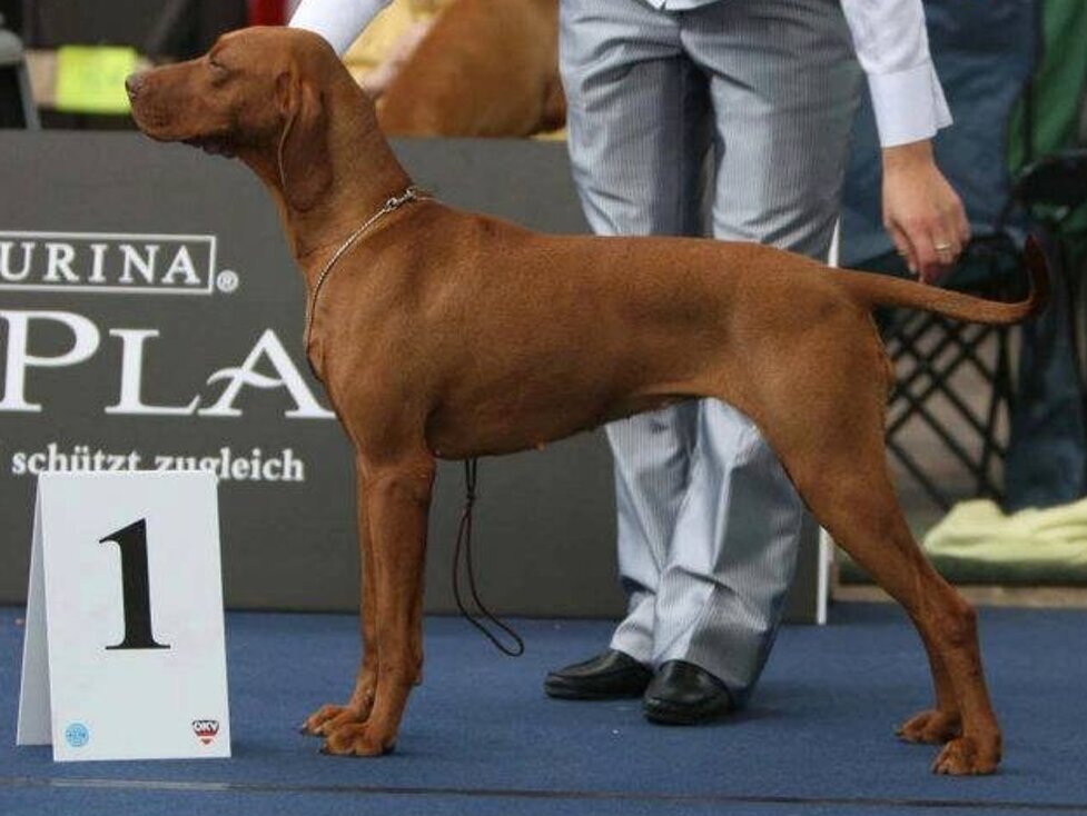 85a04093-e015-4568-b366-9f53cc9d942d