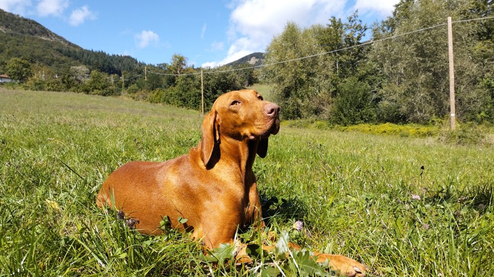 d1cd7438-a26f-4101-8006-446f5c17c622