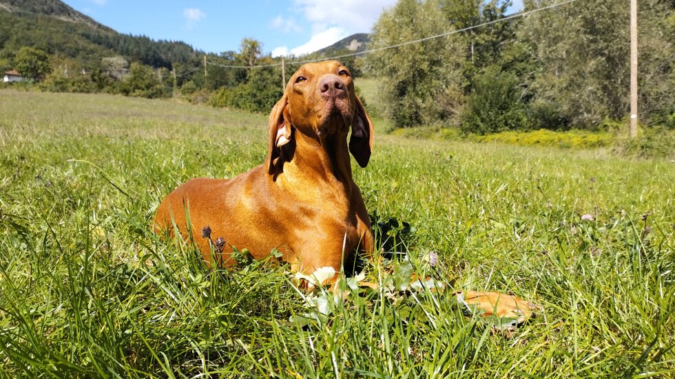 56c5bcf9-0a6f-49a1-94bd-4f294c73c187