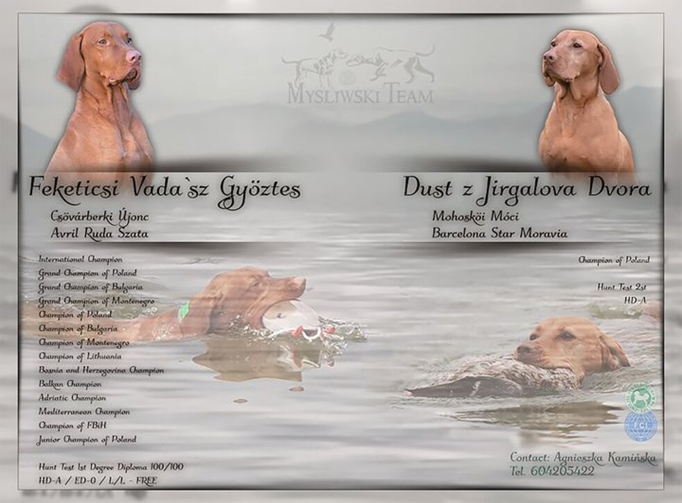 f65fc260-33cf-4cc3-9067-3b0ebe55bbcd