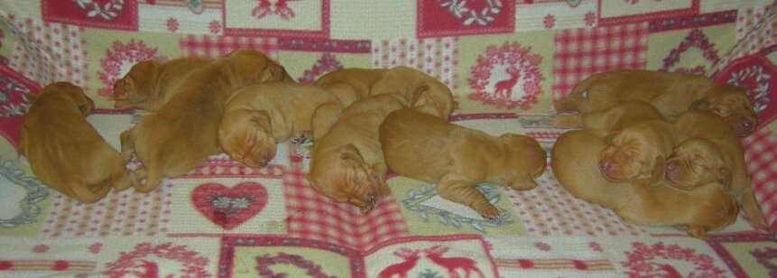 e4d0033f-538d-42ef-adbd-946841424fdb