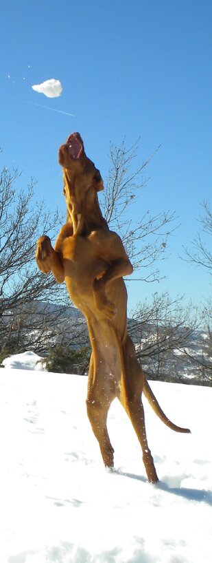 home 11.jpeg home 11.jpeg