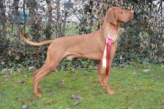 11518b6e-7317-4467-94bc-7635944eb2a1