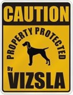 cartello vizsla 2.jpeg