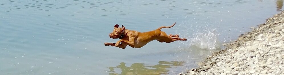 092116fe-755e-46fb-a6e8-d350e81aadc7